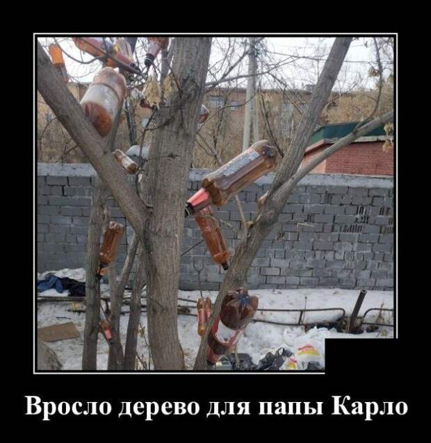 demotivatory-demotivator-smeshnye-demotivatory-demotivator-so-smyslom demotivatory-demotivator-smeshnye-demotivatory-demotivator-so-smyslom