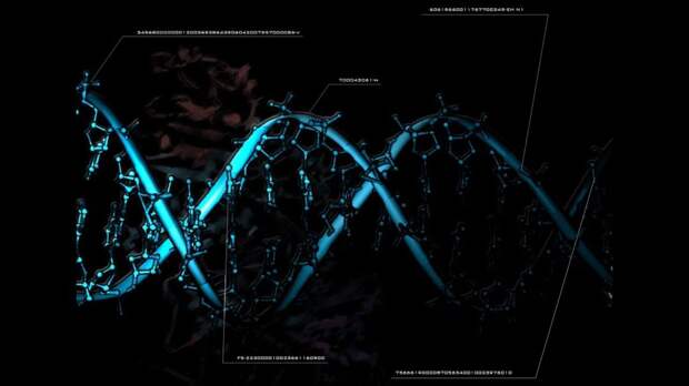 Почему ДНК человека может быть продуктом чужого разума