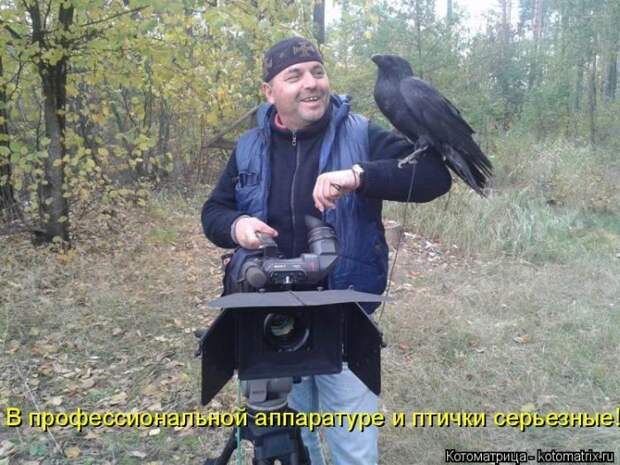 Лучшие котоматрицы недели