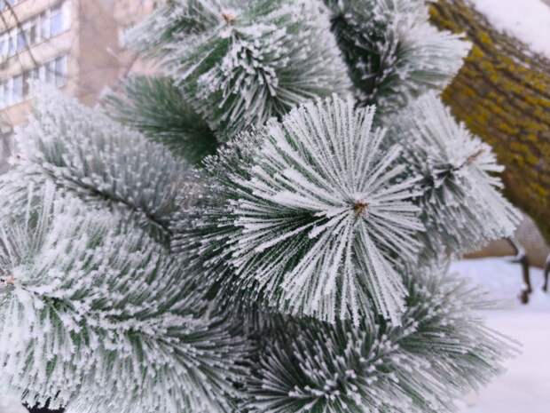 В Тульской области на выходные ожидается сильное похолодание и снегопады