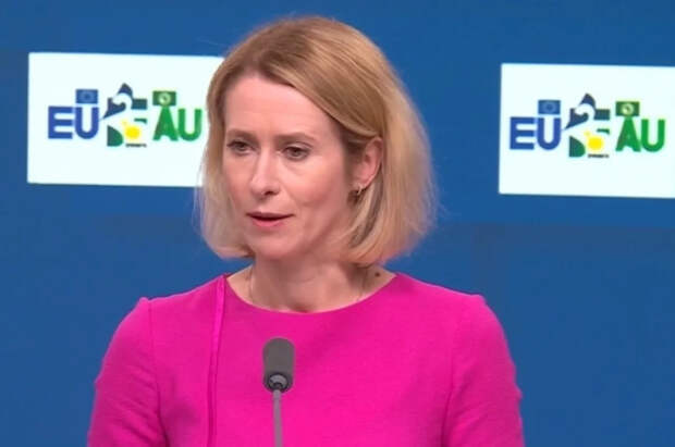 Дмитриев посоветовал Каллас не пить перед тем, как писать посты