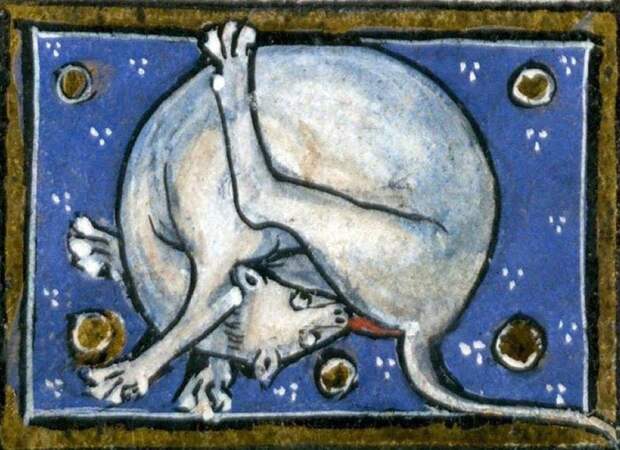 странное средневековое искусство, странные тенденции в средневековом искусстве 