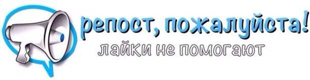 Был брошен на улице в переноске, пережил тяжёлый стресс... Как никто другой нуждается в доме и тепле!