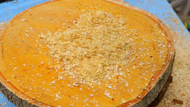 Опытный лесоруб рассказал как заточить цепь бензопилы не снимая за несколько минут