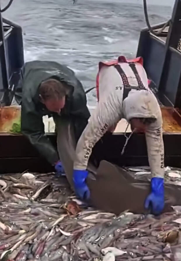 Источник фото: 9Gag