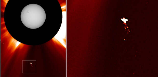 Птица у Солнца? Необычный объект попал на снимки космической обсерватории