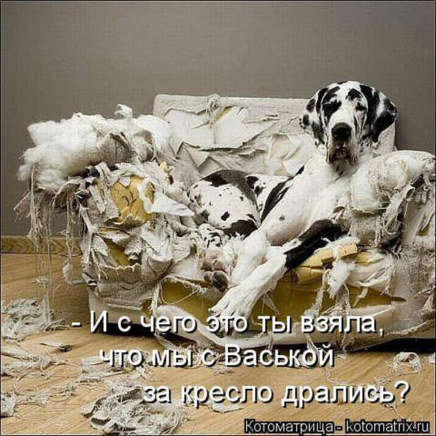 kotomatritsa_m (480x480, 202Kb)