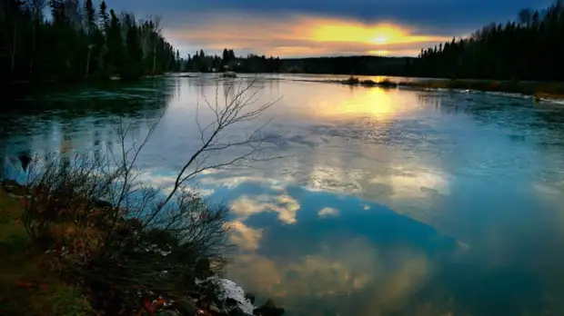 В Москве наградили лауреатов международной премии «Экология — дело каждого»