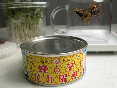 консервы из ос