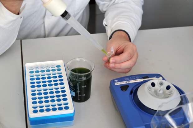 Ученые объяснили наличие прокрастинации