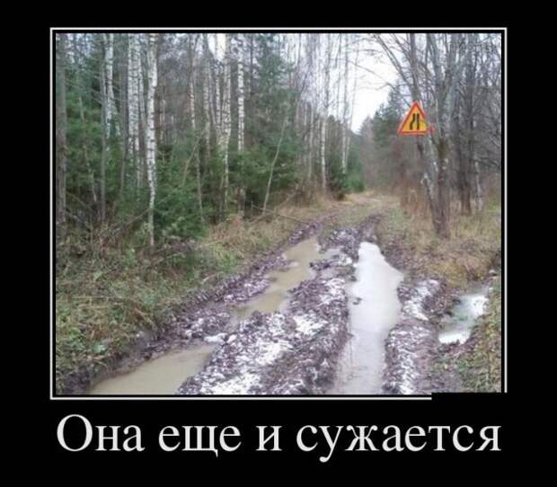 Демотиваторы №1781 (30 фото)