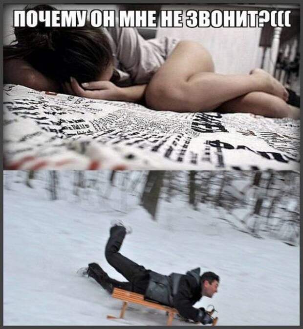 Смешные картинки с подписями (20 картинок)