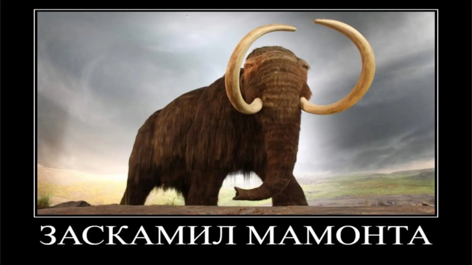 Картинки мамонт