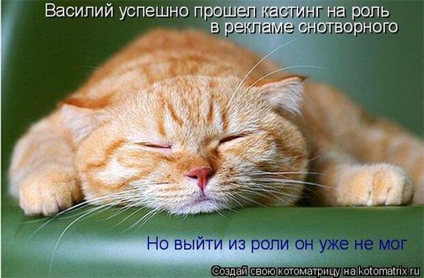 Котоматрицы :)