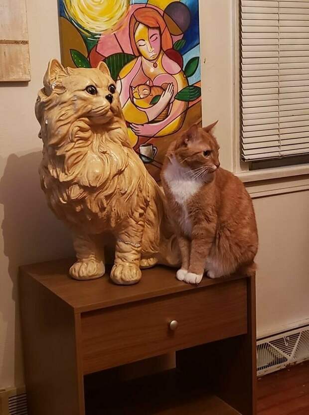 "Находка за $4,99. Рядом с ней кот по кличке Наггет. Мы нашли его в цветочном горшке, на тот момент котенку не было и недели"