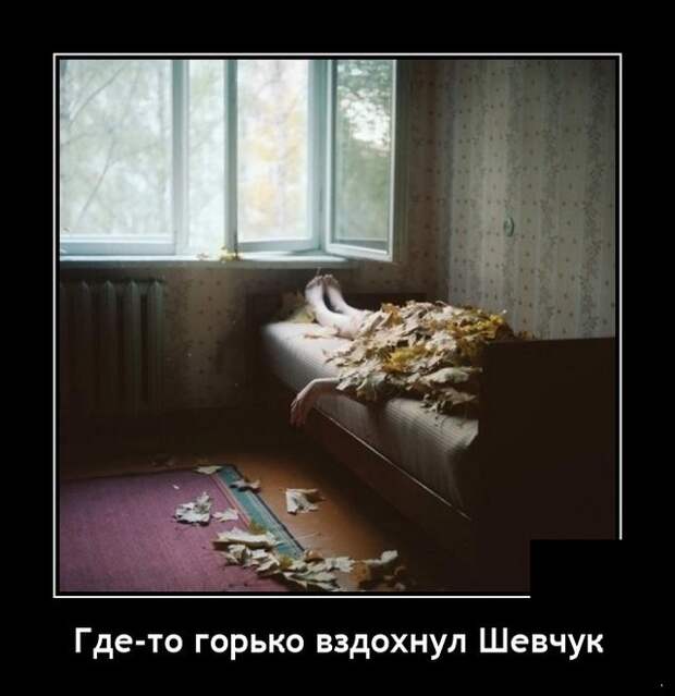 Демотиваторы 13 сентября 2021 года