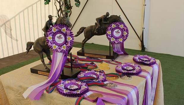 В Динском районе прошли соревнования по конкуру на приз ЗСК