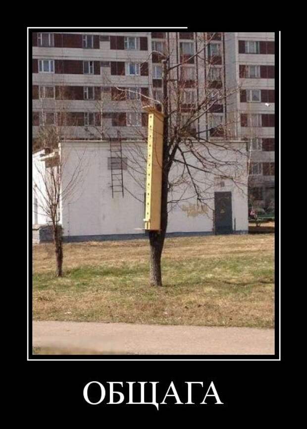 Демотиваторы (30 фото)