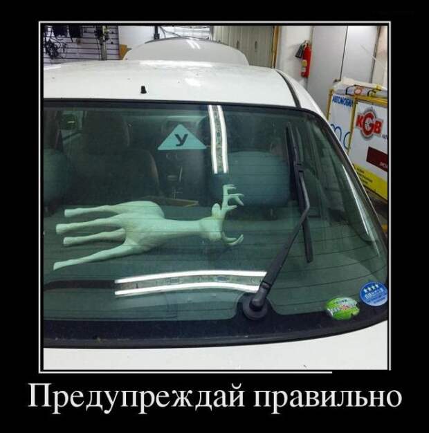Демотиваторы (30 фото)