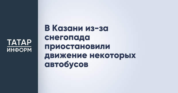 В Казани из-за снегопада приостановили движение некоторых автобусов
