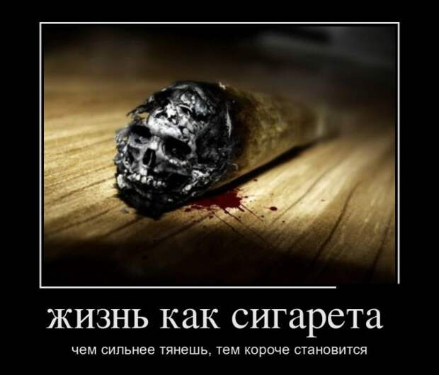 Смешные демотиваторы на утро (11 фото) Смешные демотиваторы на утро (11 фото)
