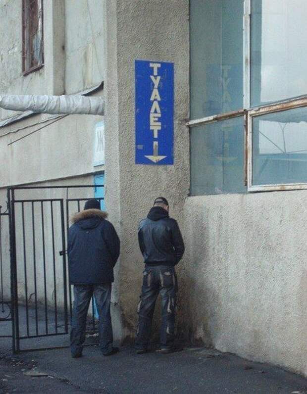 Прикольные картинки Прикольные картинки