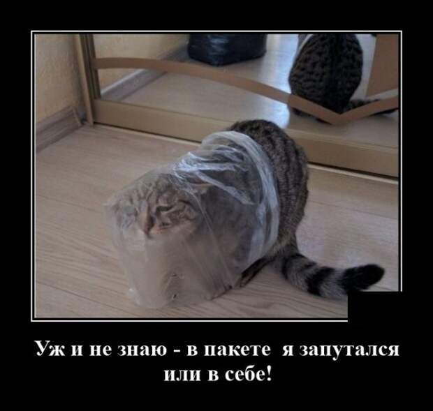 demotivatory-demotivator-smeshnye-demotivatory-demotivator-so-smyslom