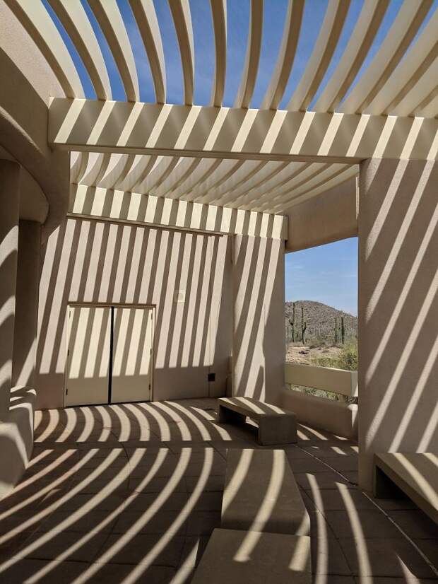 This Pattern Of Shadows And Light