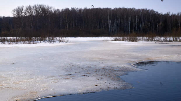 В "ЛизаАлерт" рассказали о способах уберечь детей от трагедий на водоемах весной