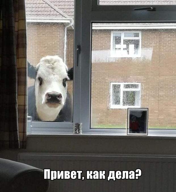 Подборка картинок. Вечерний выпуск (30 фото)
