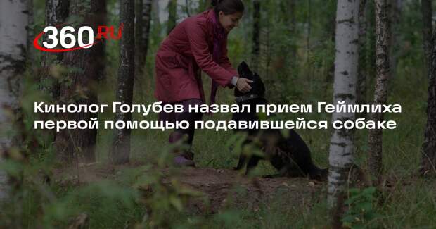 Кинолог Голубев назвал прием Геймлиха первой помощью подавившейся собаке