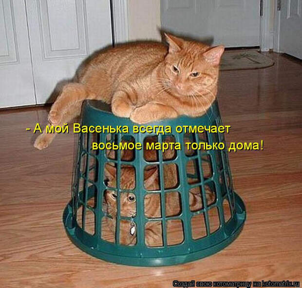 kotomatritsa_N4 (700x669, 432Kb)