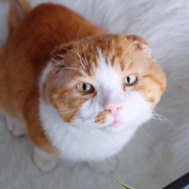 https://lap-uchki.com/wp-content/uploads/2018/05/980x-9-1-1.jpg