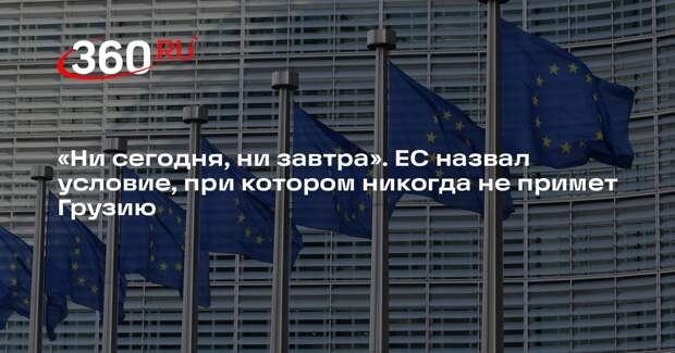 Посол Герчинский: Грузия никогда не вступит в ЕС с однопартийной системой