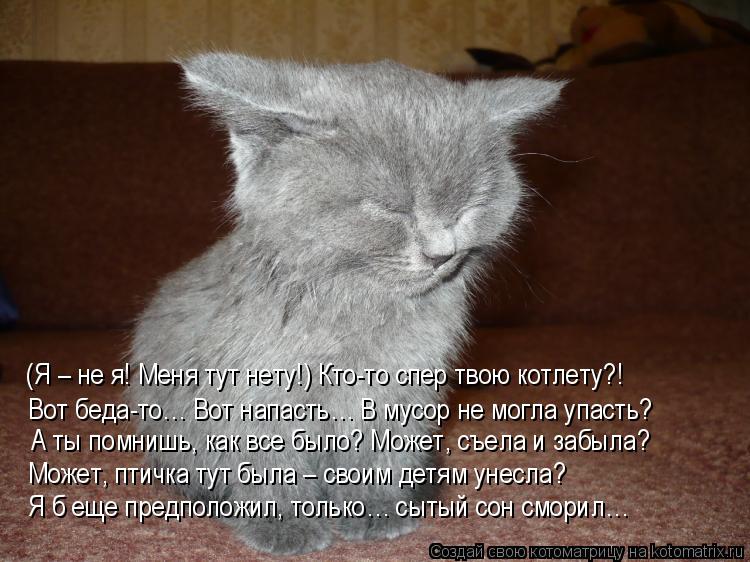 Котоматрица: (Я – не я! Меня тут нету!) Кто-то спер твою котлету?! Вот беда-то… Вот напасть… В мусор не могла упасть? А ты помнишь, как все было? Может, съела 