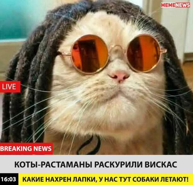 Всякая прикольная всячина, фото и картинки 50