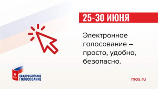 Москвичам рассказали о мифах об электронном голосовании