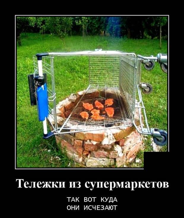 Демотиваторы 2 ноября 2021 года