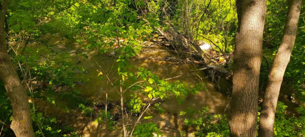 Прокуратура добилась возмещения многомиллионного вреда для экологии