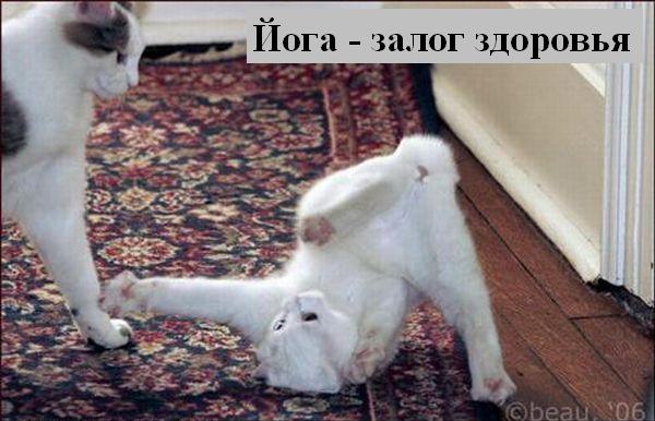Мысли :) (50мыслей)