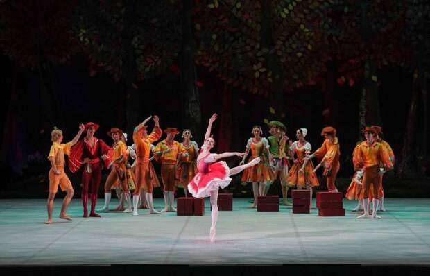 Большой театр привезет «Чиполлино» в Геленджик