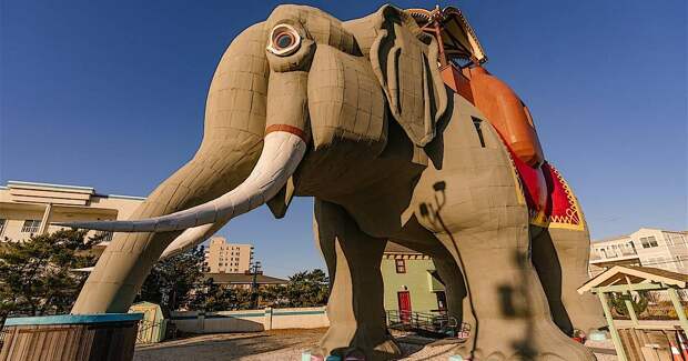 Как американцы слона покупали