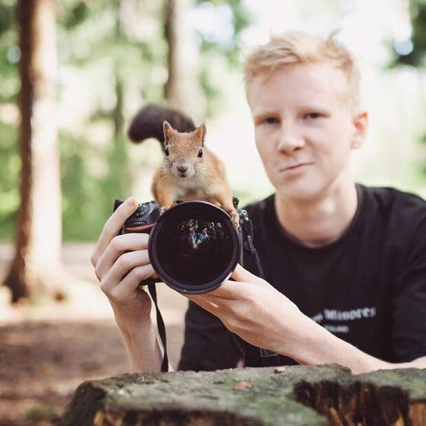 фотограф, белка