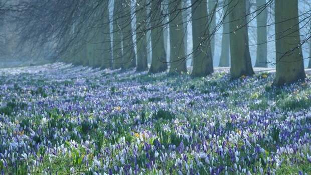 Вы по-настоящему счастливый человек, если по утрам вас действительно больше всего волнует прогноз погоды. Представляем прогноз на 19 марта в Туле