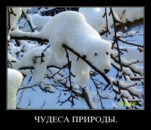 Всяко - разно 56 ))) Всяко - разно 56 )))