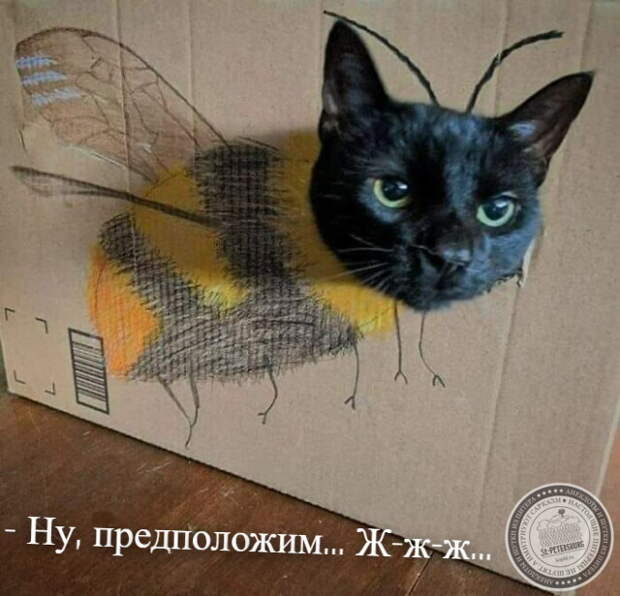 Ж-ж-ж