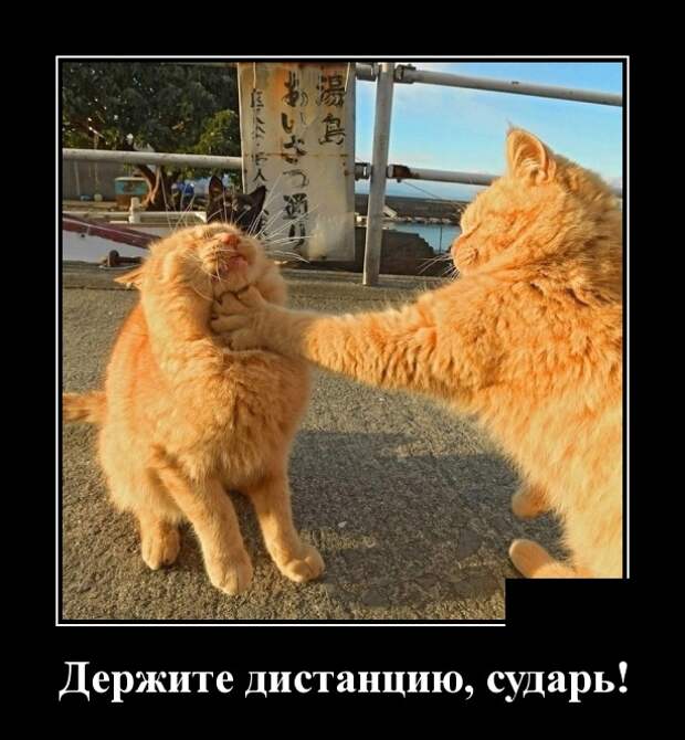 Демотиваторы (30 фото)
