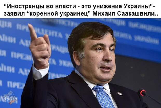 7GgUpsNZpXQ.jpg