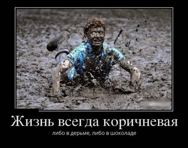 Демотиваторы