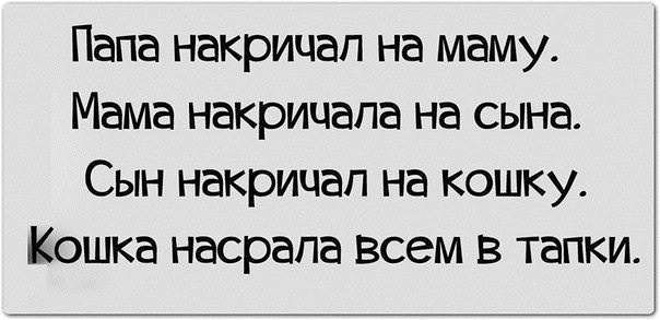 Картинки с надписями про котов